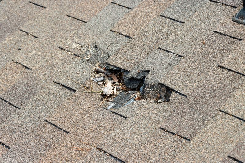 Roof Shingles Replacement in Alexandria, VA